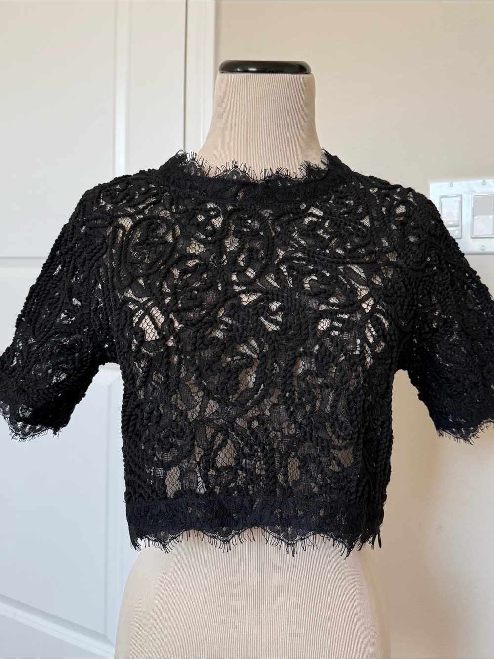 NWT Apeach Black Lace Crop Top Women's Elegant Sheer Tee Size M